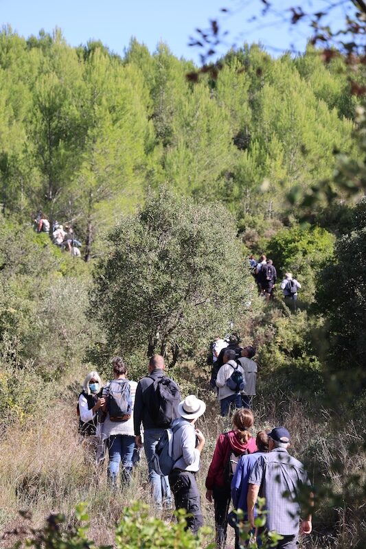 Le groupe progresse en file dans la garrigue