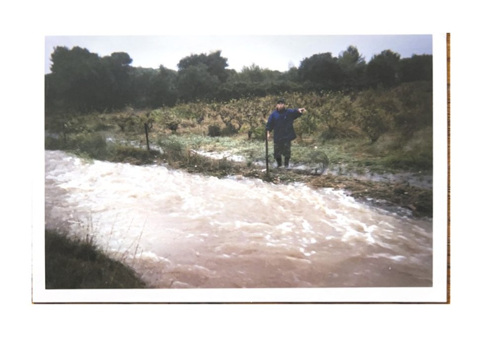 Une parcelle du Montrodier submergée au pied des oliviers, septembre 2002